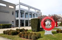 Fudbalski savez srbije izbor predsednika (3).JPG