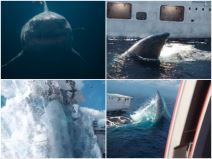 Collage Maker-20-Mar-2023-10-23-AM-3934.jpg