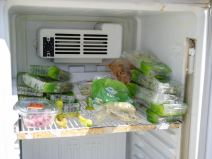 zajednički_frižider_za_gladne_stefan_stojanović_ (3).jpg