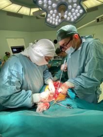 pad ssa motora (1).jpg