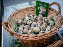 uskrs_jaja_pijaca_stefan_stojanović_35.jpg