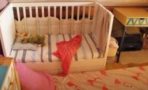 Kuća od slame (4).png