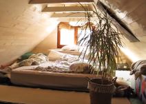 Kuća od slame (5).png