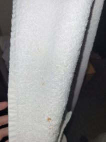 Tara, ekskurzija (2).jpg