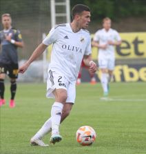 Čukarički Vojvodina (4).jpg