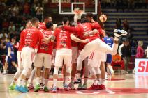 Luka Vildoza o Partizanu, Crvenoj zvezdi i ABA ligi