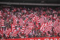 Zvezda Novi Pazar  (1).jpg