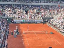 WhatsApp Image 2023-06-09 at 18.27.46.jpg