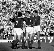 Vahidin Musemić1.jpg