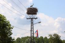 Kuće Noine porodice, Kovilj (4).jpg