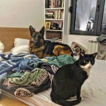 Sergej Trifunovic stan (5).jpg