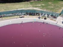 Collage Maker-10-Jul-2023-04-02-PM-7858.jpg