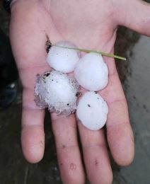 STRAVIČNE POSLEDICE SUPERĆELIJSKE OLUJE U SRBIJI (4).jpg