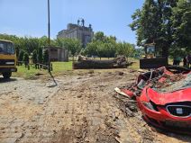 Drvo palo na automobil u Pančevu (3).jpg