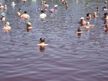 Pačir banja roze jezero cene