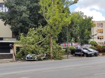 Posledice oluje NS (1).jpg