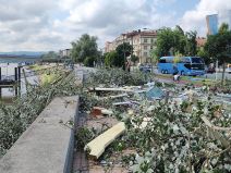 Posledice oluje u Novom Sadu