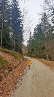 Ognjen Zivkovic (5).jpg