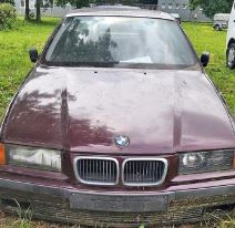 Carina Sombor (3).jpg