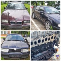 Carina Sombor (2).png