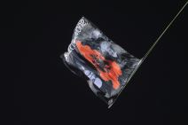 Srbija Albanija (3).jpg