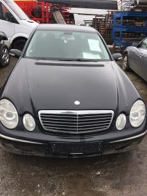 Carina Subotice organizuje licitaciju (4).jpg