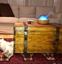 Mirjana Memedović 12.png