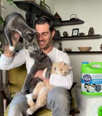 Evan Antin 2.jpg