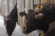 Screenshot 2023-09-05 145920.jpg