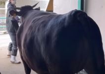 Screenshot 2023-09-05 145928.jpg