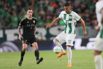 Ferencvaros Čukarički (4).jpg