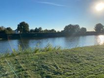 Ptičiji grip u Borči