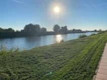 Ptičiji grip u Borči