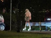Jelena Karleuša Policija.jpeg