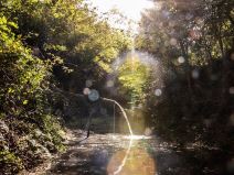 Branko Janković živi na selu i gaji koze