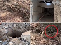 tunel hamas