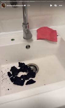 Teodora Dzehverovic stori (1).png