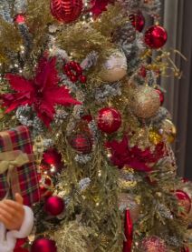 Viki   Miljkovic.png