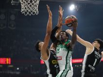 Izgubljeni pas gleda Partizan Panatinaikos u Evroligi