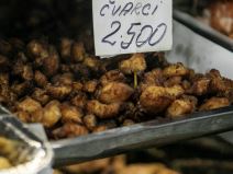 riblji_čvarci_stefan_stojanović_ (5).jpg