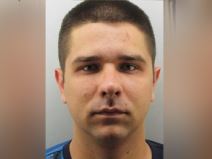 Milan Dimitrijević  Bombonica.jpg