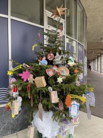 starogradska zima2.jpg