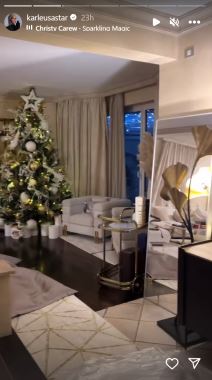 jelena karleuša  (3).png