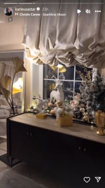 jelena karleuša  (4).png