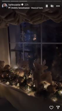 jelena karleuša  (6).png