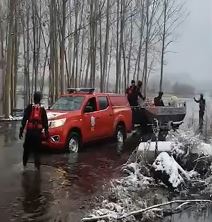 Krčedinska ada-zivotinje hrana (3).jpg