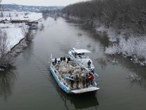 Evakuacija životinja sa Krčedinske ade (2).jpg