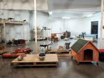 animal_rescue_rakovica_azil_za_životinje_mačke_stefan_stojanović_ (12).jpg