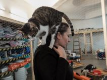 Irena Azil za zivotinje Animal Rescue 3.jpeg