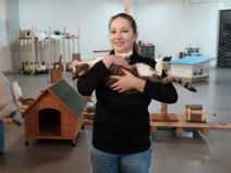 Irena Azil za zivotinje Animal Rescue 4.jpeg